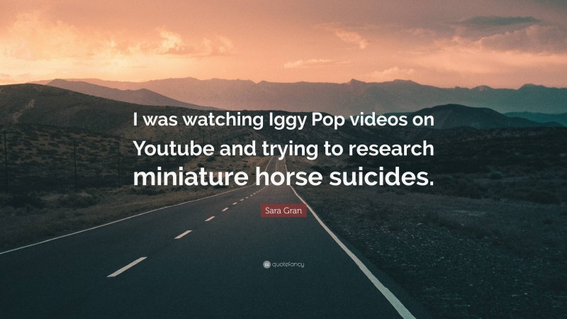 Sara Gran Quote: “I was watching Iggy Pop videos on Youtube and trying to research miniature horse suicides.”