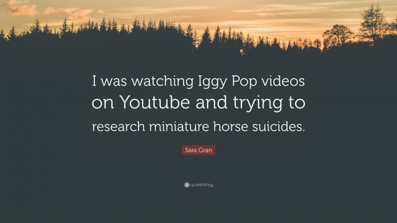 Sara Gran Quote: “I was watching Iggy Pop videos on Youtube and trying to research miniature horse suicides.”