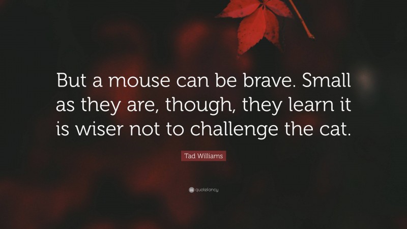 Tad Williams Quote: “But a mouse can be brave. Small as they are, though, they learn it is wiser not to challenge the cat.”