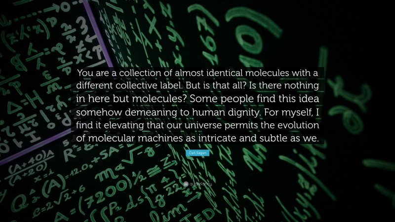 Carl Sagan Quote: “You are a collection of almost identical molecules with a different collective label. But is that all? Is there nothing in here but molecules? Some people find this idea somehow demeaning to human dignity. For myself, I find it elevating that our universe permits the evolution of molecular machines as intricate and subtle as we.”