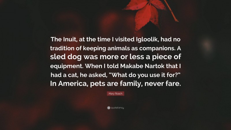 Mary Roach Quote: “The Inuit, at the time I visited Igloolik, had no tradition of keeping animals as companions. A sled dog was more or less a piece of equipment. When I told Makabe Nartok that I had a cat, he asked, “What do you use it for?” In America, pets are family, never fare.”