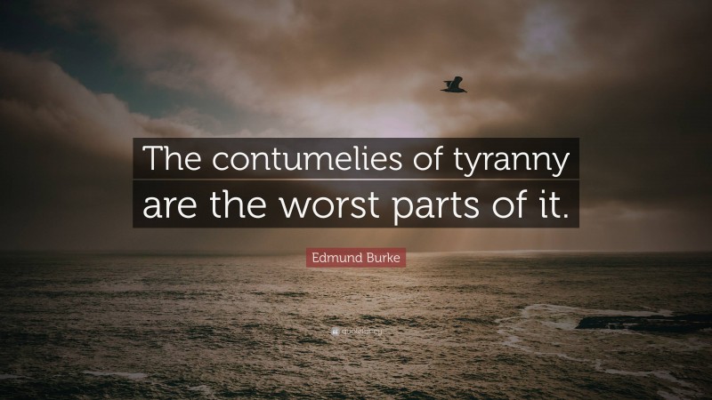 Edmund Burke Quote: “The contumelies of tyranny are the worst parts of it.”