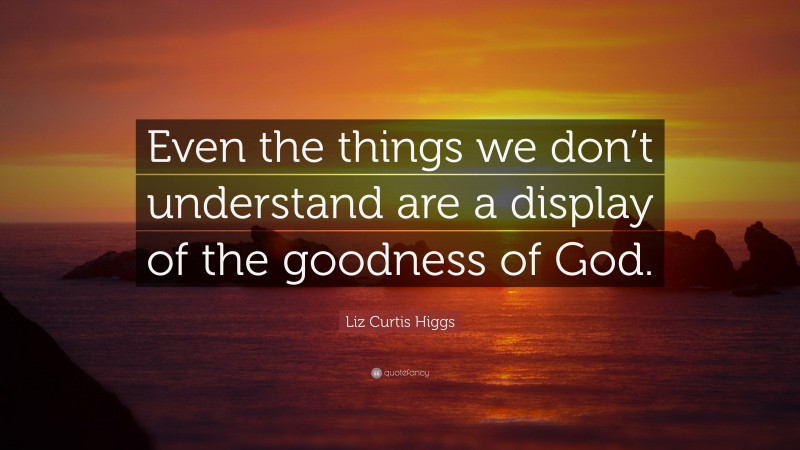 Liz Curtis Higgs Quote: “Even the things we don’t understand are a display of the goodness of God.”
