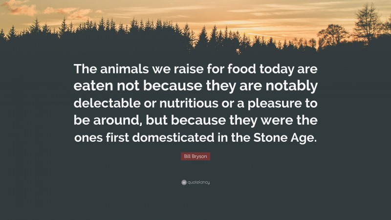 Bill Bryson Quote: “The animals we raise for food today are eaten not because they are notably delectable or nutritious or a pleasure to be around, but because they were the ones first domesticated in the Stone Age.”