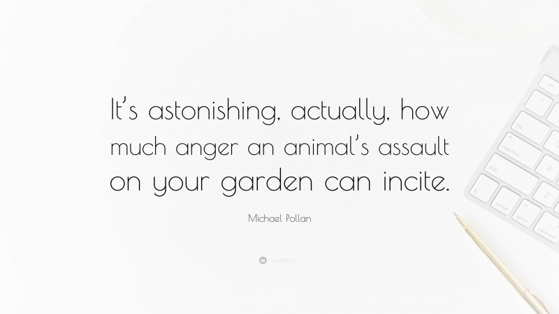 Michael Pollan Quote: “It’s astonishing, actually, how much anger an animal’s assault on your garden can incite.”