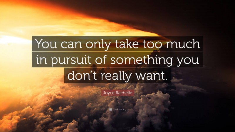 Joyce Rachelle Quote: “You can only take too much in pursuit of something you don’t really want.”