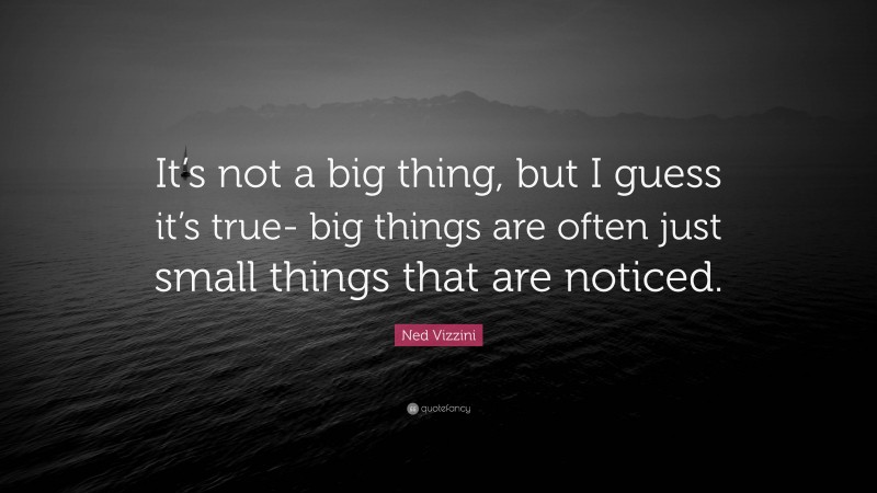 Ned Vizzini Quote: “It’s not a big thing, but I guess it’s true- big things are often just small things that are noticed.”