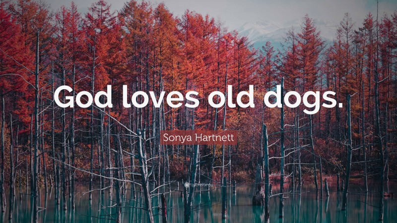 Sonya Hartnett Quote: “God loves old dogs.”