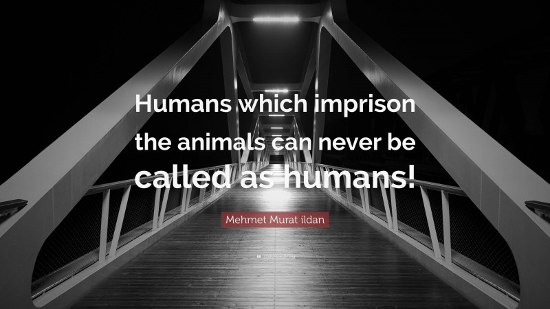 Mehmet Murat ildan Quote: “Humans which imprison the animals can never be called as humans!”