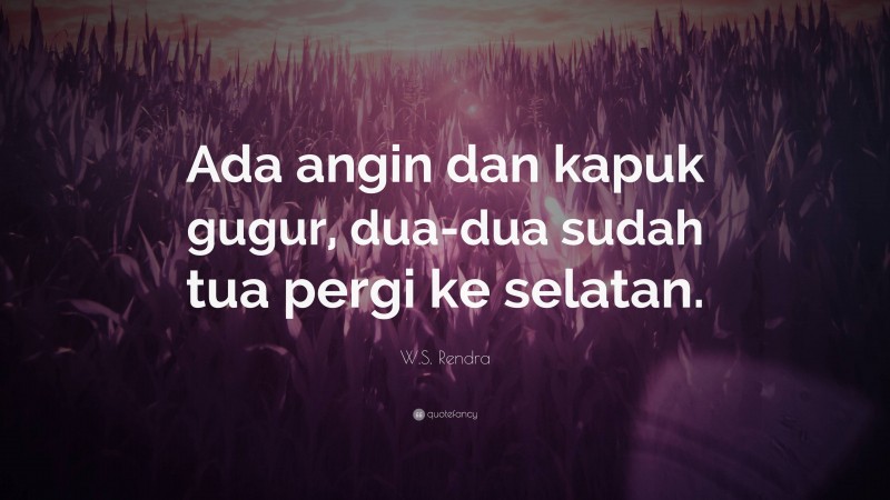 W.S. Rendra Quote: “Ada angin dan kapuk gugur, dua-dua sudah tua pergi ke selatan.”