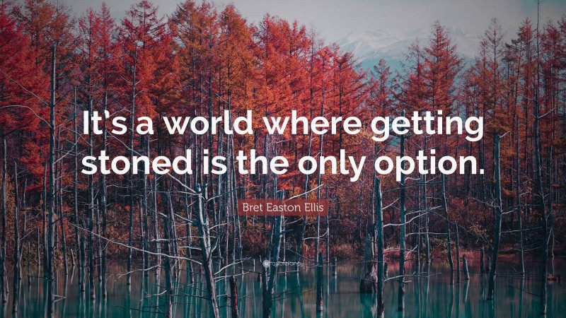 Bret Easton Ellis Quote: “It’s a world where getting stoned is the only option.”