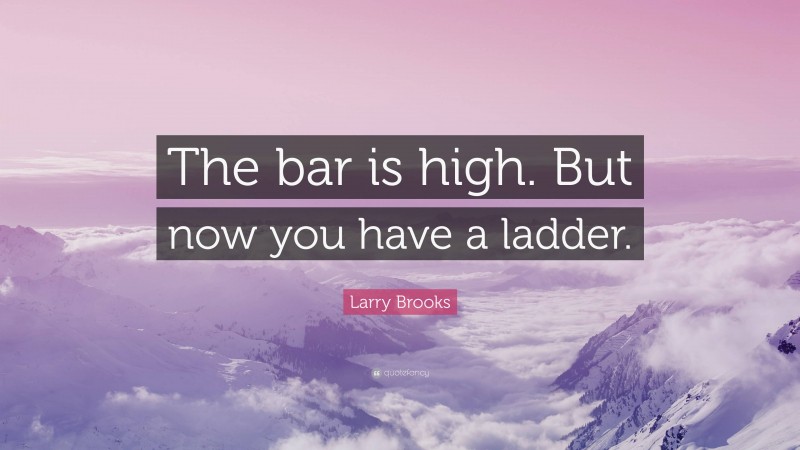 Larry Brooks Quote: “The bar is high. But now you have a ladder.”