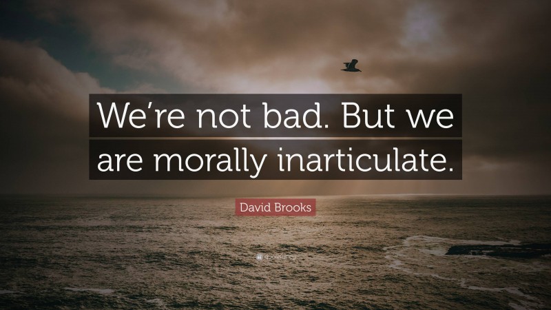 David Brooks Quote: “We’re not bad. But we are morally inarticulate.”