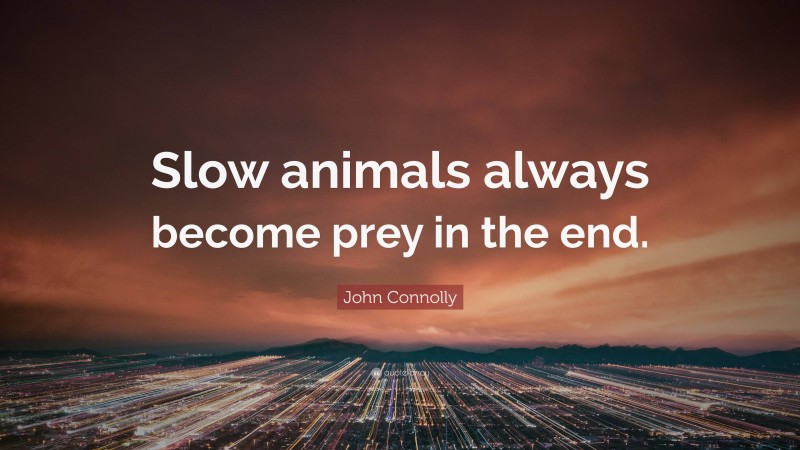 John Connolly Quote: “Slow animals always become prey in the end.”