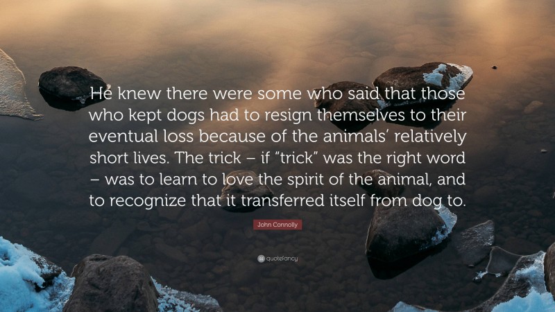 John Connolly Quote: “He knew there were some who said that those who kept dogs had to resign themselves to their eventual loss because of the animals’ relatively short lives. The trick – if “trick” was the right word – was to learn to love the spirit of the animal, and to recognize that it transferred itself from dog to.”