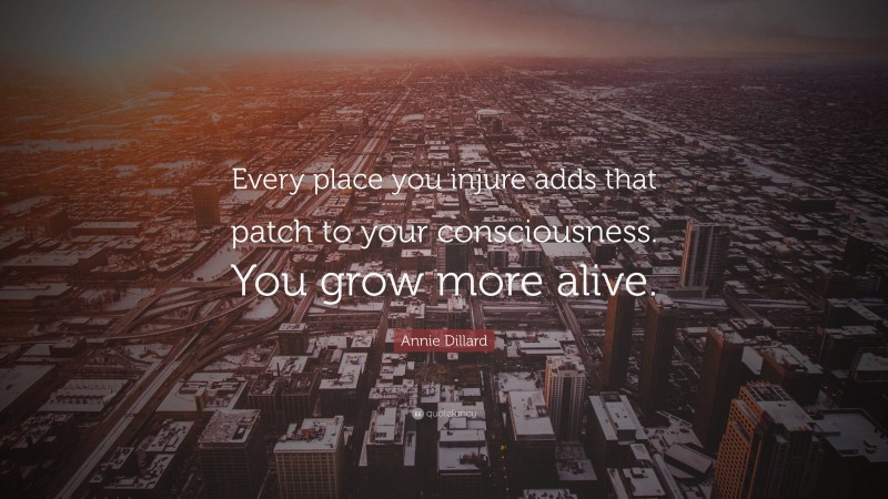 Annie Dillard Quote: “Every place you injure adds that patch to your consciousness. You grow more alive.”
