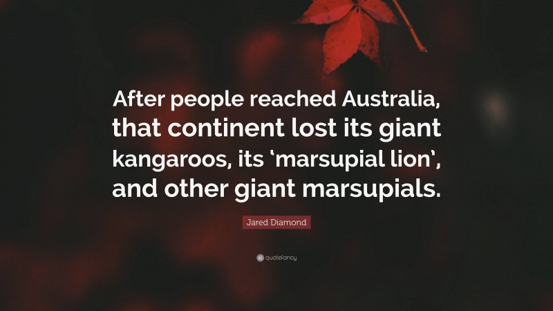 Jared Diamond Quote: “After people reached Australia, that continent lost its giant kangaroos, its ‘marsupial lion’, and other giant marsupials.”