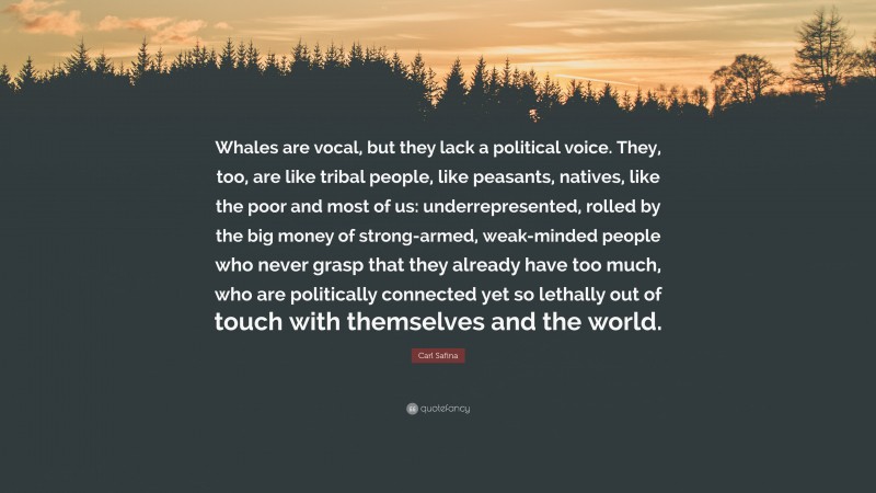 Carl Safina Quote: “Whales are vocal, but they lack a political voice. They, too, are like tribal people, like peasants, natives, like the poor and most of us: underrepresented, rolled by the big money of strong-armed, weak-minded people who never grasp that they already have too much, who are politically connected yet so lethally out of touch with themselves and the world.”