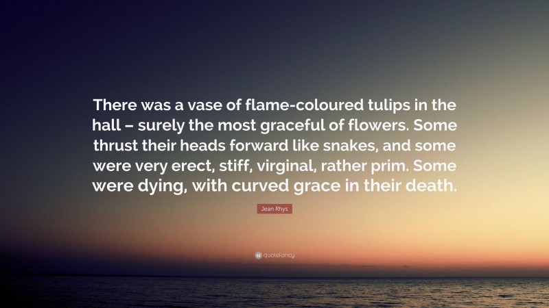 Jean Rhys Quote: “There was a vase of flame-coloured tulips in the hall – surely the most graceful of flowers. Some thrust their heads forward like snakes, and some were very erect, stiff, virginal, rather prim. Some were dying, with curved grace in their death.”