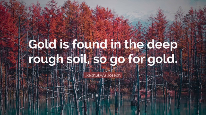 Ikechukwu Joseph Quote: “Gold is found in the deep rough soil, so go for gold.”