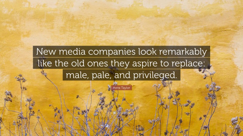 Astra Taylor Quote: “New media companies look remarkably like the old ones they aspire to replace: male, pale, and privileged.”