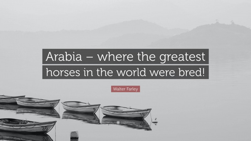 Walter Farley Quote: “Arabia – where the greatest horses in the world were bred!”