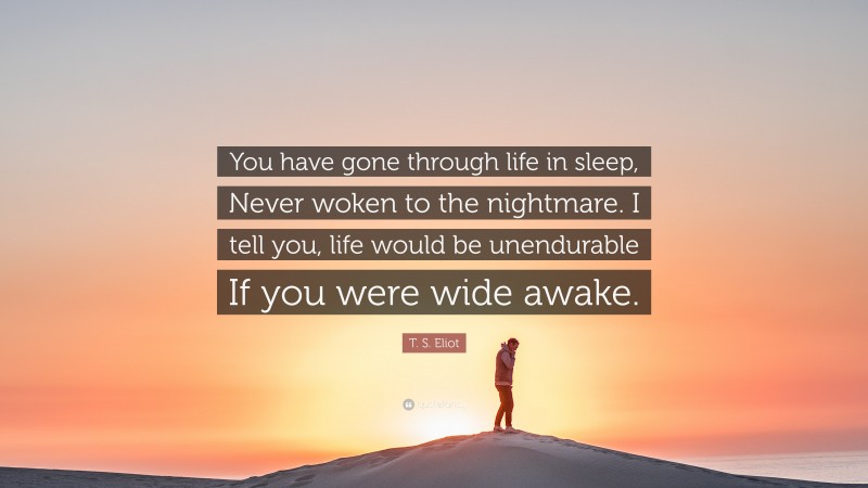 T. S. Eliot Quote: “You have gone through life in sleep, Never woken to the nightmare. I tell you, life would be unendurable If you were wide awake.”