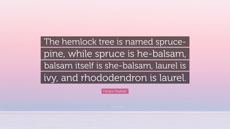 Horace Kephart Quote: “The hemlock tree is named spruce-pine, while spruce is he-balsam, balsam itself is she-balsam, laurel is ivy, and rhododendron is laurel.”