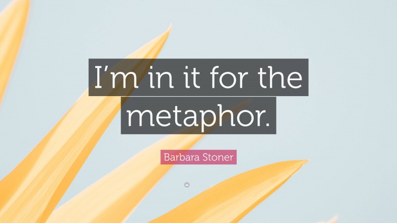 Barbara Stoner Quote: “I’m in it for the metaphor.”