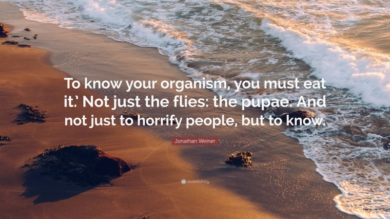 Jonathan Weiner Quote: “To know your organism, you must eat it.’ Not just the flies: the pupae. And not just to horrify people, but to know.”