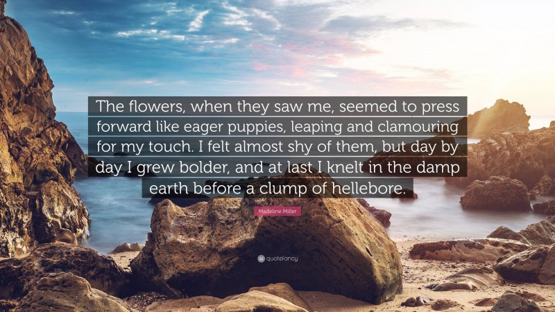 Madeline Miller Quote: “The flowers, when they saw me, seemed to press forward like eager puppies, leaping and clamouring for my touch. I felt almost shy of them, but day by day I grew bolder, and at last I knelt in the damp earth before a clump of hellebore.”