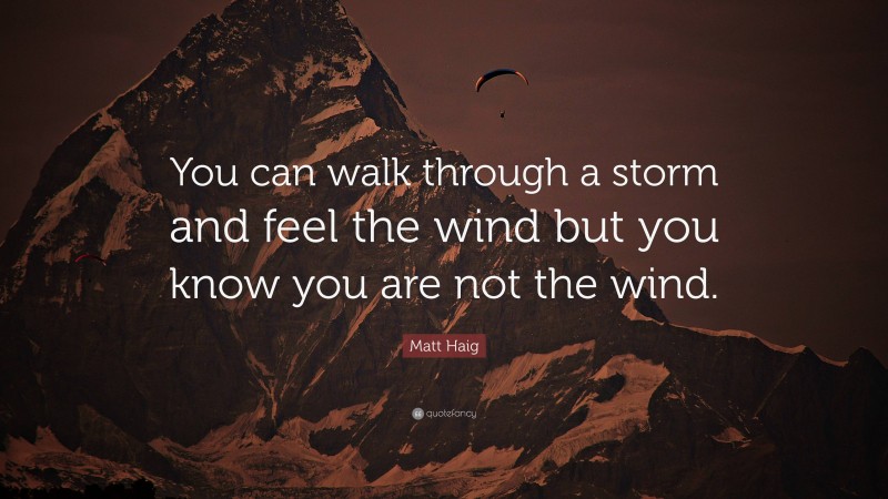 Matt Haig Quote: “You can walk through a storm and feel the wind but you know you are not the wind.”