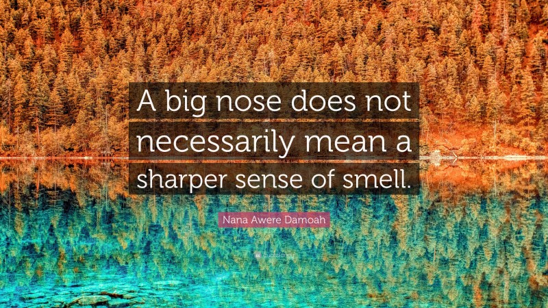 Nana Awere Damoah Quote: “A big nose does not necessarily mean a sharper sense of smell.”