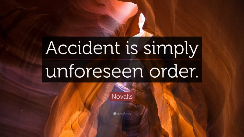 Novalis Quote: “Accident is simply unforeseen order.”