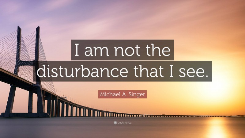 Michael A. Singer Quote: “I am not the disturbance that I see.”