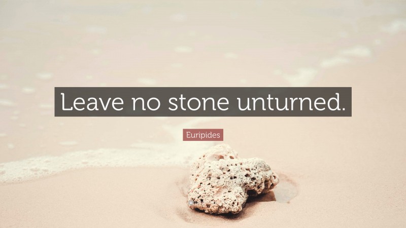 Euripides Quote: “Leave no stone unturned.”