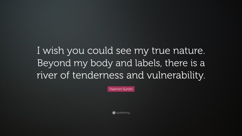 Haemin Sunim Quote: “I wish you could see my true nature. Beyond my body and labels, there is a river of tenderness and vulnerability.”