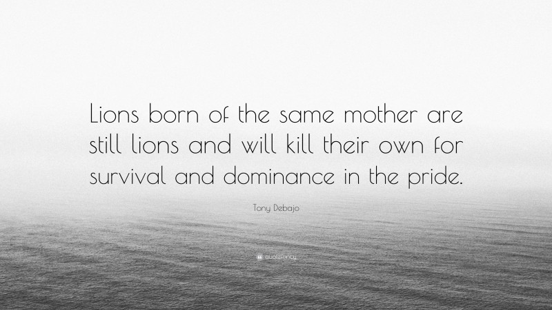 Tony Debajo Quote: “Lions born of the same mother are still lions and will kill their own for survival and dominance in the pride.”