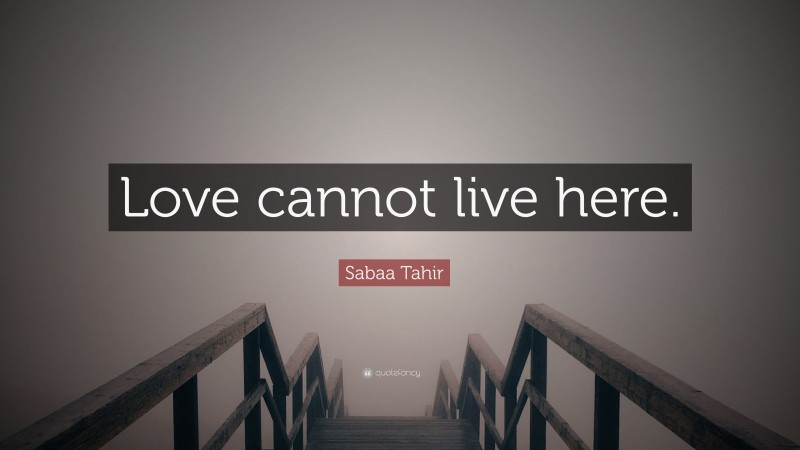 Sabaa Tahir Quote: “Love cannot live here.”