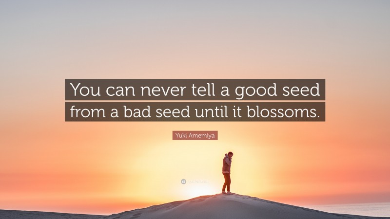 Yuki Amemiya Quote: “You can never tell a good seed from a bad seed until it blossoms.”
