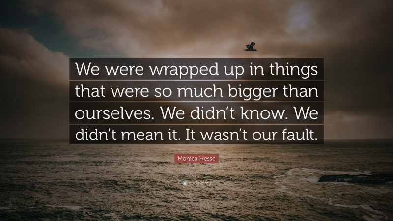 Monica Hesse Quote: “We were wrapped up in things that were so much bigger than ourselves. We didn’t know. We didn’t mean it. It wasn’t our fault.”