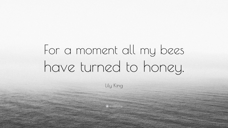 Lily King Quote: “For a moment all my bees have turned to honey.”