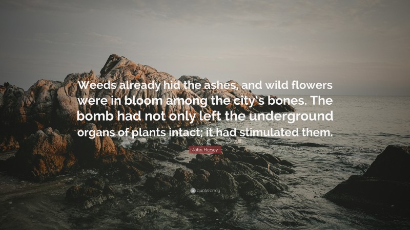 John Hersey Quote: “Weeds already hid the ashes, and wild flowers were in bloom among the city’s bones. The bomb had not only left the underground organs of plants intact; it had stimulated them.”