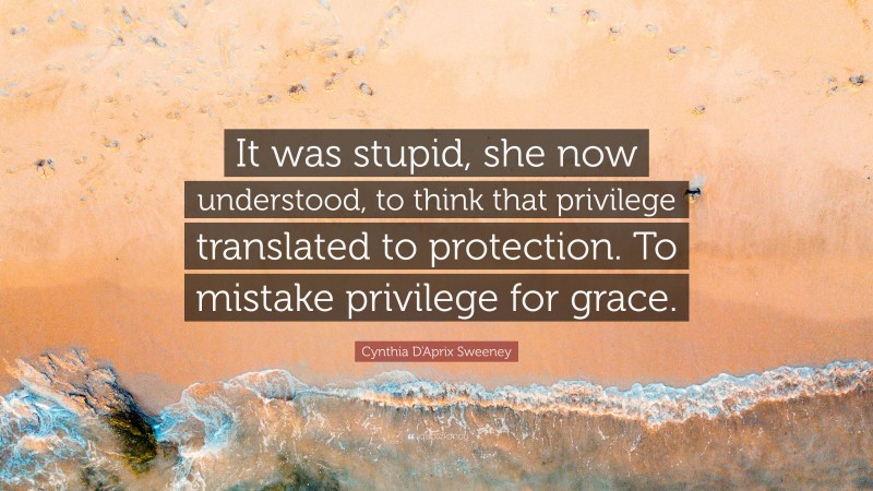 Cynthia D'Aprix Sweeney Quote: “It was stupid, she now understood, to think that privilege translated to protection. To mistake privilege for grace.”