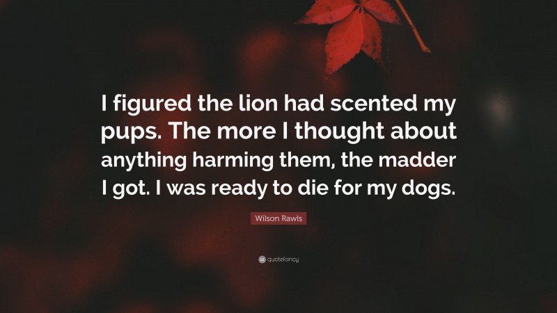 Wilson Rawls Quote: “I figured the lion had scented my pups. The more I thought about anything harming them, the madder I got. I was ready to die for my dogs.”