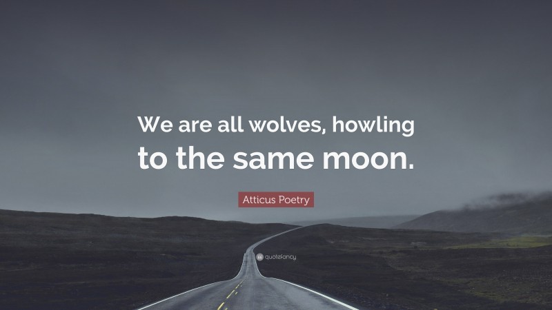 Atticus Poetry Quote: “We are all wolves, howling to the same moon.”