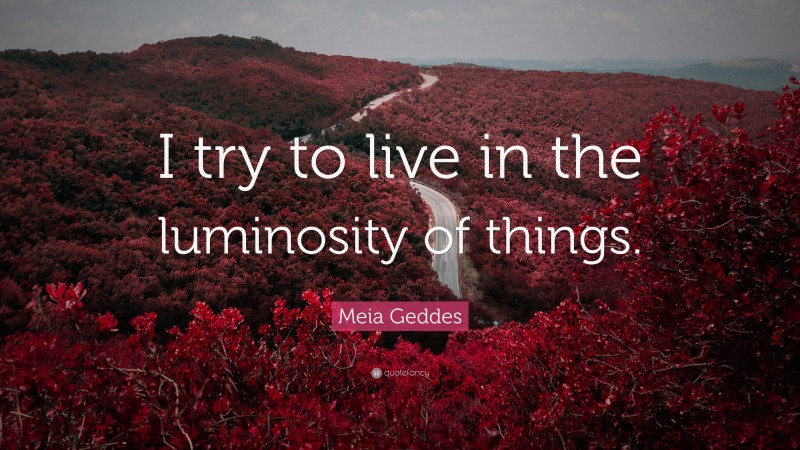 Meia Geddes Quote: “I try to live in the luminosity of things.”