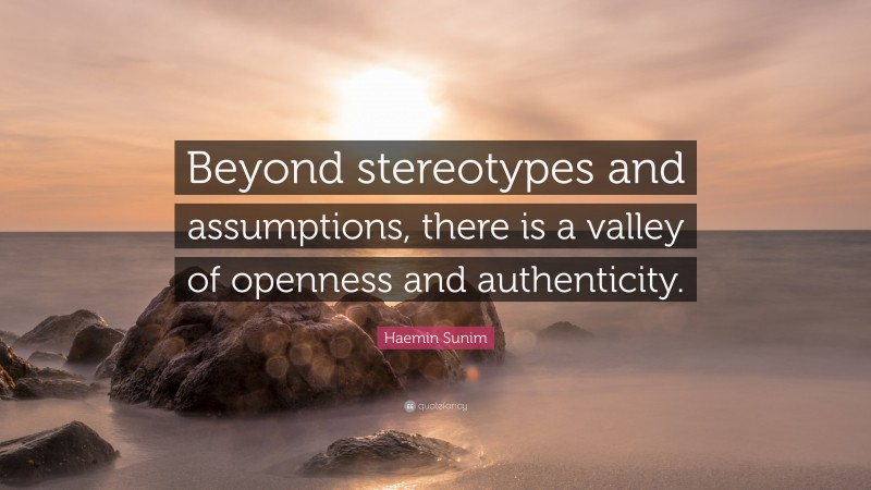 Haemin Sunim Quote: “Beyond stereotypes and assumptions, there is a valley of openness and authenticity.”