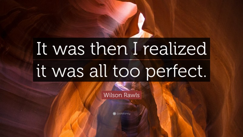 Wilson Rawls Quote: “It was then I realized it was all too perfect.”