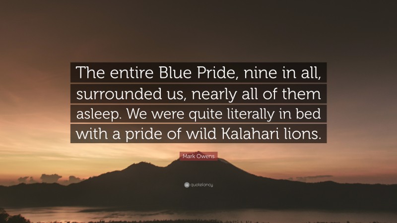 Mark Owens Quote: “The entire Blue Pride, nine in all, surrounded us, nearly all of them asleep. We were quite literally in bed with a pride of wild Kalahari lions.”